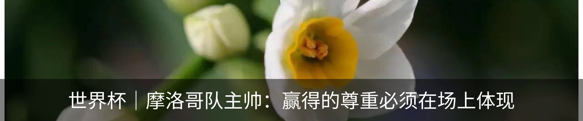 新闻动态