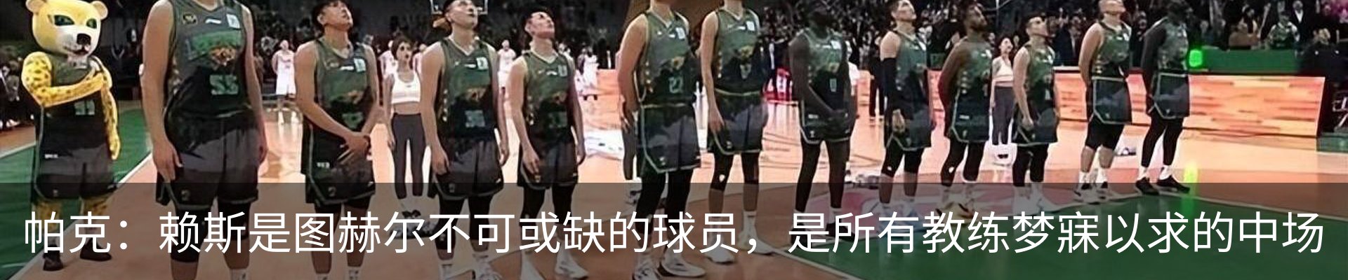 新闻动态
