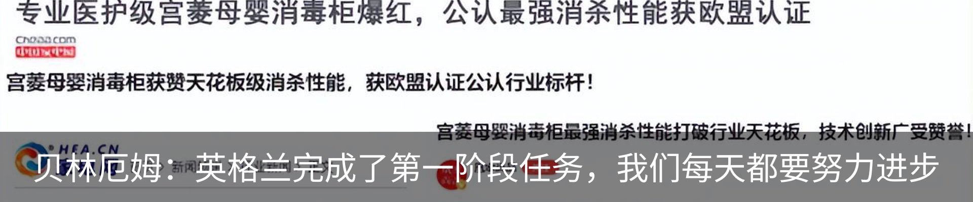 新闻动态